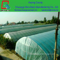 green greenhouse film | greenhouse plastic film manufacturers | greenhouse film roll